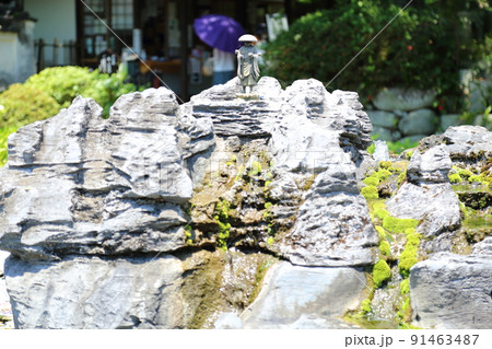 「花の寺」久安寺 具足池のあじさいうかべ 【大阪府池田市】 「花の寺」久安寺 具足池のあじさいうかべ 【大阪府池田市】 91463487
