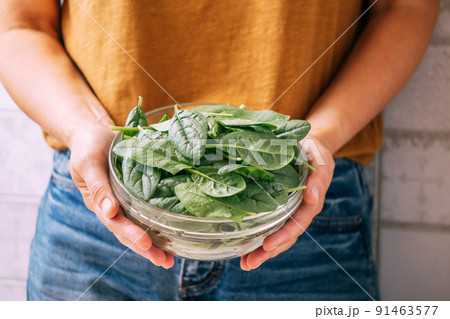 Female hands hold a bowl of fresh green spinach leaves, close-up soft focus. Vegetarianism 91463577
