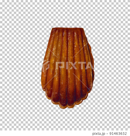 焼き加減最高の出来立てマドレーヌイラストのイラスト素材
