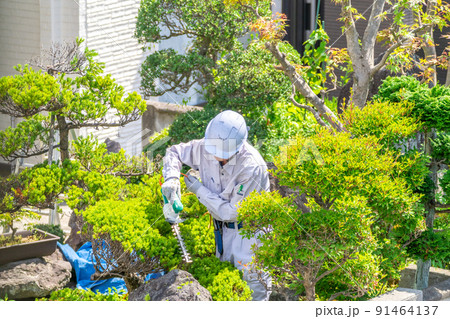 働く高齢者　地域社会に貢献　植木剪定 91464137