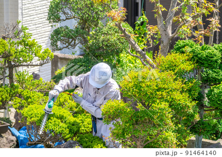 働く高齢者　地域社会に貢献　植木剪定 91464140