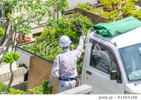 働く高齢者 地域社会に貢献 植木剪定 働く高齢者 地域社会に貢献 植木剪定 91464166