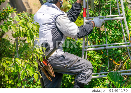 働く高齢者 地域社会に貢献 植木剪定 働く高齢者 地域社会に貢献 植木剪定 91464170