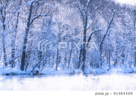 《北海道》霧氷と気嵐・冬の北海道 91464309