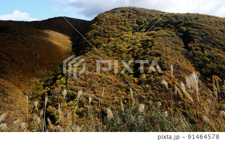 津軽半島紅葉の山並み 91464578