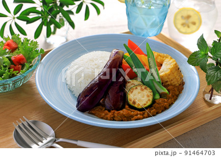 夏野菜のキーマカレー　トマトとなすのキーマカレー　夏野菜添え　 91464703