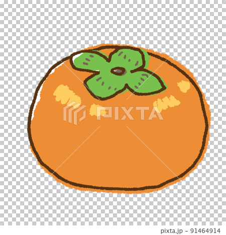 手繪水果柿子插畫 91464914