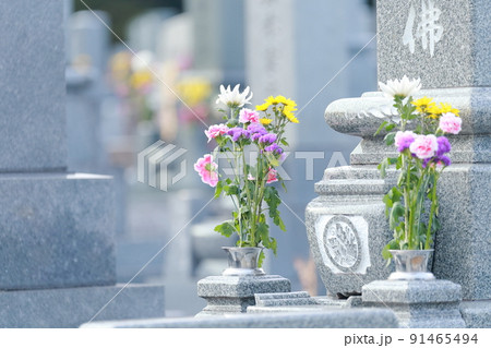 お墓の仏花とスリン 91465494