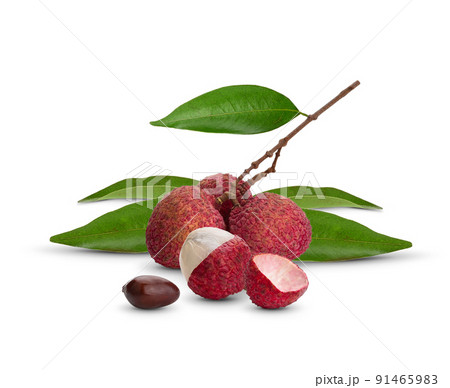 Fresh ripe lychee fruits on white background. 91465983