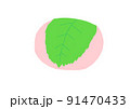 桜餅のイラスト(道明寺) 91470433
