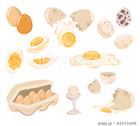 Eggs set. Fresh and boiled eggs. Broken with a cracked eggshell, in a cardboard box and half an egg. Organic agricultural product. A culinary ingredient for breakfast. Vector hand draw illustration 91471606