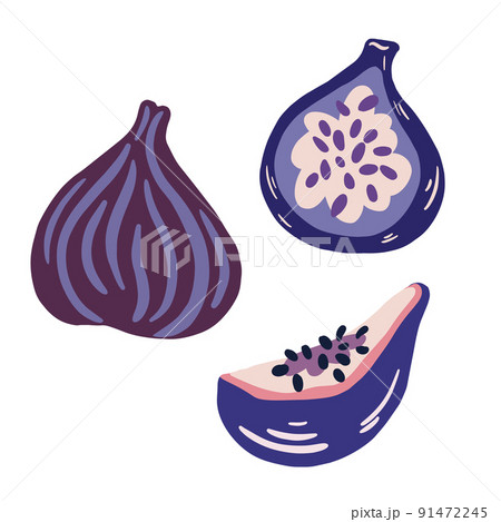 Figs. Whole exotic fruit, cut figs, half and quarter. Summer tropical fruits for a healthy lifestyle. Vector cartoon illustration isolated on the white background. 91472245