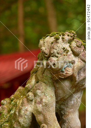 塩原八幡宮　狛犬 91472442