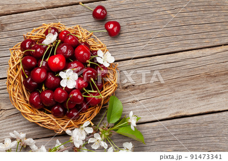 Ripe cherry with cherry blossom Ripe cherry with cherry blossom 91473341