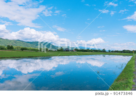 水を張るだけに留まった水田に映り込む夏空【安曇野市穂高】の写真素材