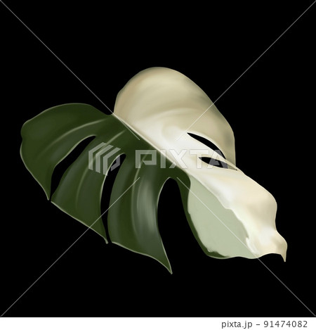 sheet monstera alba. tropical leaf with white spots. Watercolor sheet 91474082