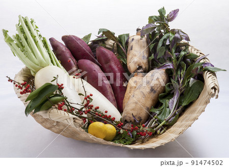 加賀野菜 91474502
