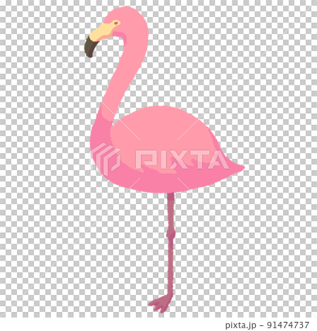 簡單的火烈鳥 簡單的火烈鳥 91474737