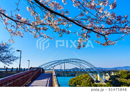 西海橋公園の桜 【長崎県西海市】 西海橋公園の桜 【長崎県西海市】 91475848