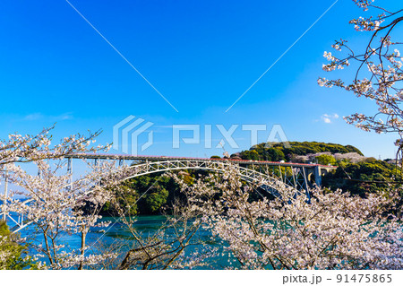 西海橋公園の桜　【長崎県西海市】 91475865