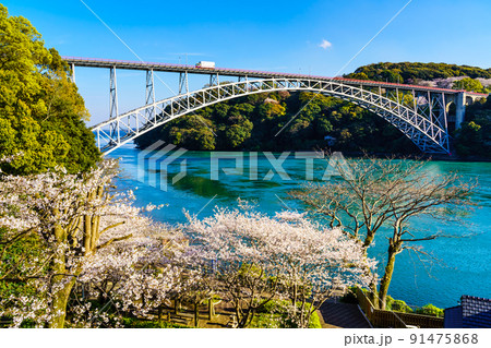 西海橋公園の桜　【長崎県西海市】 91475868