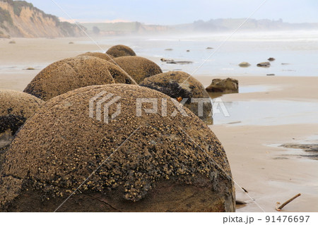 ニュージーランド南島の海岸に存在する奇岩、モエラキ・ボルダーズ ニュージーランド南島の海岸に存在する奇岩、モエラキ・ボルダーズ 91476697