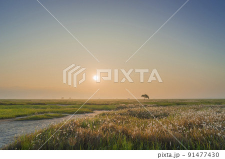 ピルギ 火星 スソム 91477430