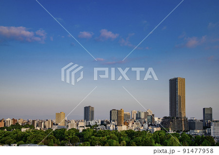 豊島区役所庁舎ビルと池袋の街並み 91477958