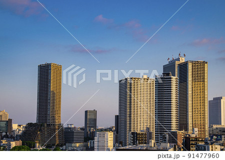 豊島区役所庁舎ビルと東池袋の高層マンション群 91477960