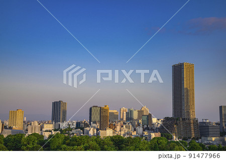 豊島区役所庁舎ビルと池袋の街並み 91477966