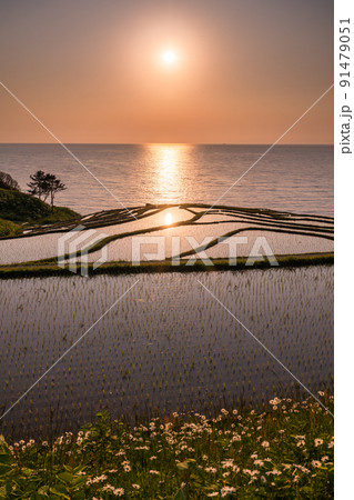 《石川県》白米千枚田の日没・能登の景勝地 91479051