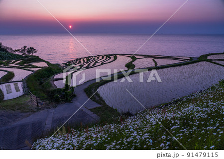 《石川県》白米千枚田の日没・能登の景勝地 91479115