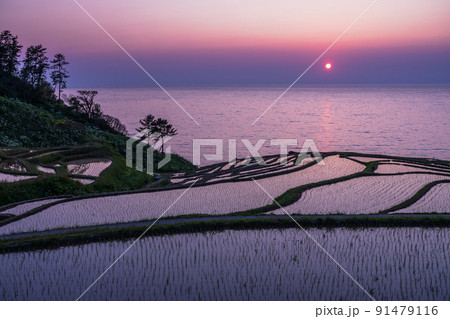 《石川県》白米千枚田の日没・能登の景勝地 91479116