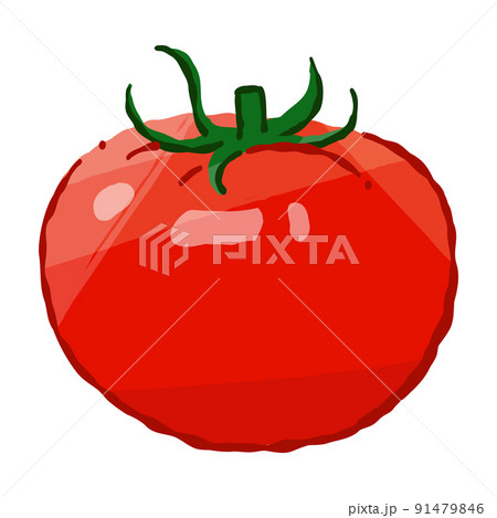 野菜トマト（単体）やわらかタッチのベクターイラスト  91479846