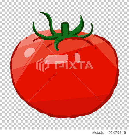 野菜トマト（単体）やわらかタッチのベクターイラスト  91479846