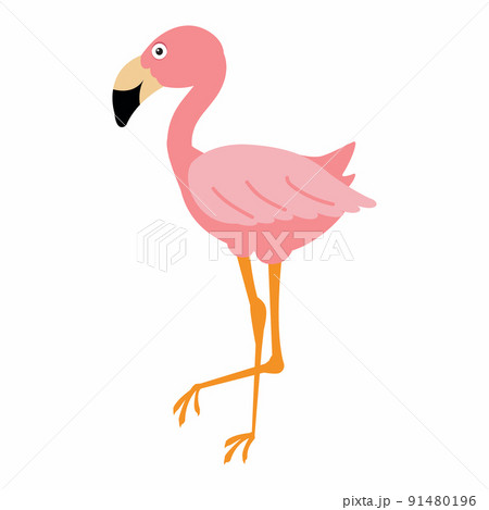 Cute pink flamingo on a white backgroundのイラスト素材 [91480196