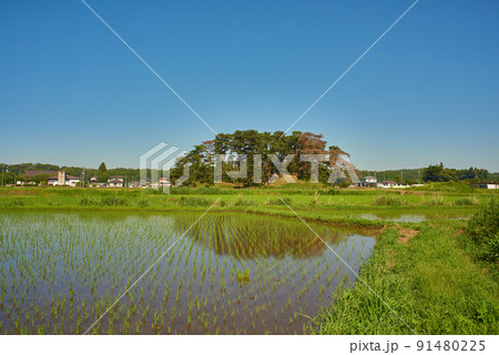 田園風景 田園風景 91480225