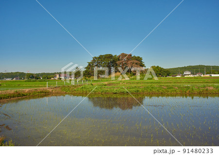田園風景 91480233
