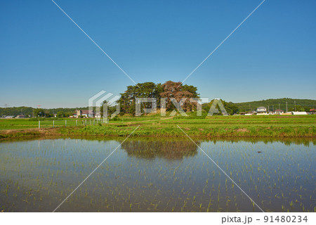 田園風景 田園風景 91480234