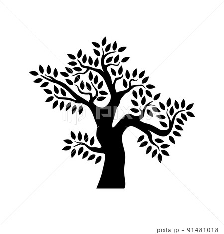 Tree isolated on white background 91481018