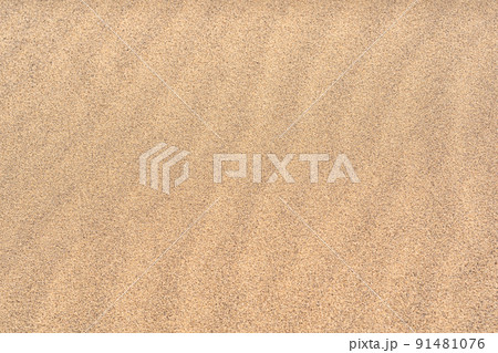 background - yellow sand desert closeup 91481076