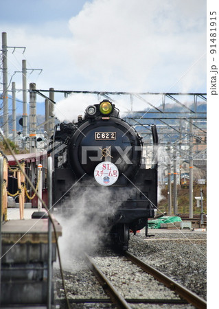 SLc6横顔黒光りして男らしい SLc6横顔黒光りして男らしい 91481915