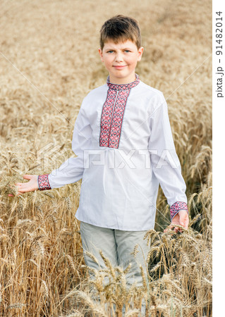 Soft Selective focus of boy in traditional white and red embroidered Ukrainian shirt on background of wheat field on sunny day. Child is smiling. Independence Day, Constitution of Ukraine. Vertical 91482014