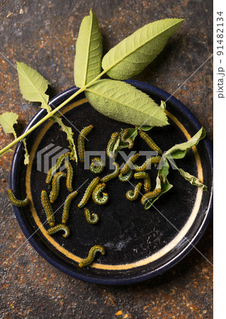 Green caterpillars on a plate 91482134