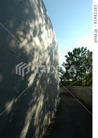 東北 宮城県 仙台市の地底の森ミュージアム 東北 宮城県 仙台市の地底の森ミュージアム 91482165