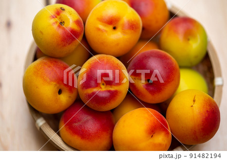 南高梅　梅 91482194