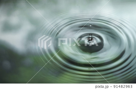 Water is dripping on the surface of the water in the rainforest. With the reflection of the green leaves 91482963