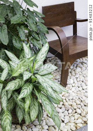 Beautiful home garden mini plant pot 91483212