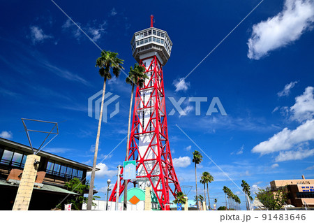 福岡市の風景 博多ポートタワー 福岡市の風景 博多ポートタワー 91483646