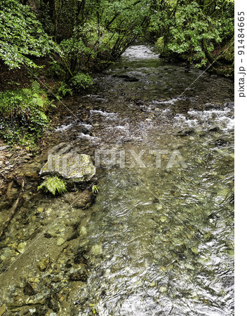 River Lyd - Lydford Gorge, Dartmoor Park, UK River Lyd - Lydford Gorge, Dartmoor Park, UK 91484665